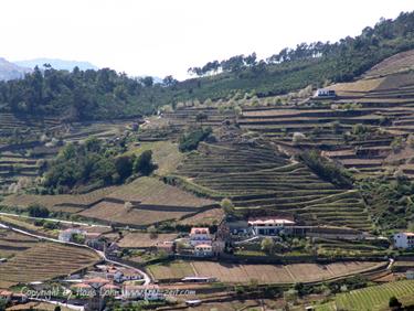 Excursion along the Rio Douro, Portugal 2009, DSC01516b_B740